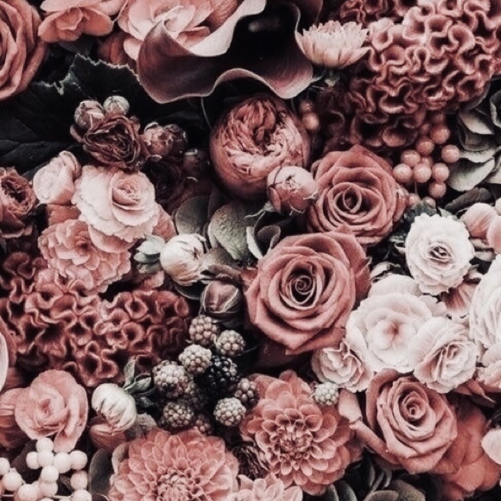 Meet your Posher, Sekayi